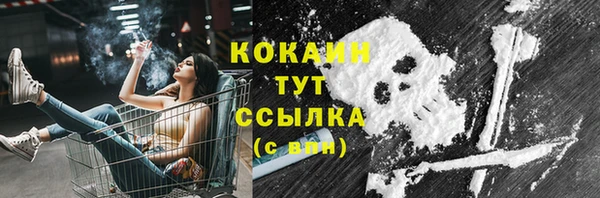 твердый Дмитриев