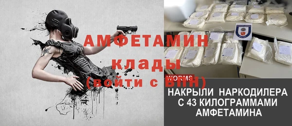 твердый Дмитриев