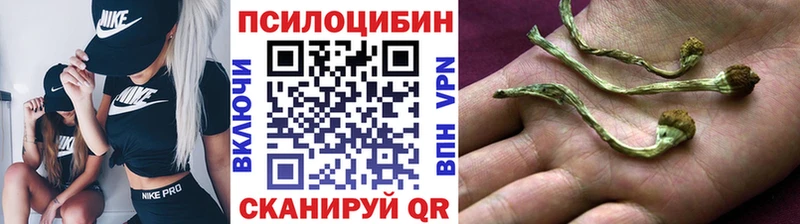 Галлюциногенные грибы Psilocybine cubensis  Купить  Изобильный 